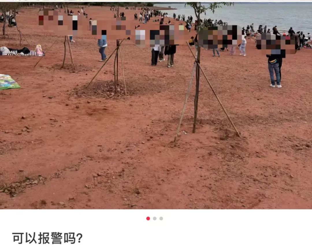 预制朋友圈火了！比小红书&ldquo;滤镜景点&rdquo;还离谱？