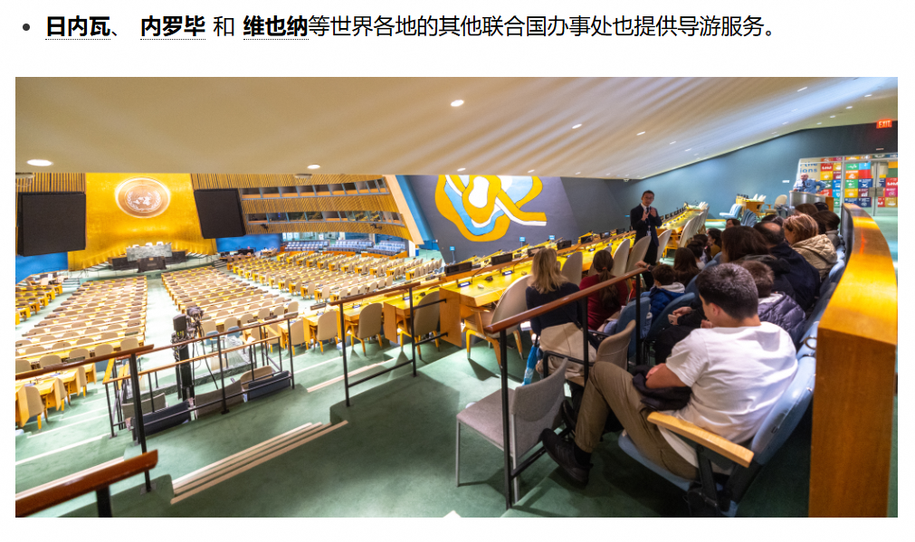 0元参观的联合国,成了中国网红打造精英人设的“神器”