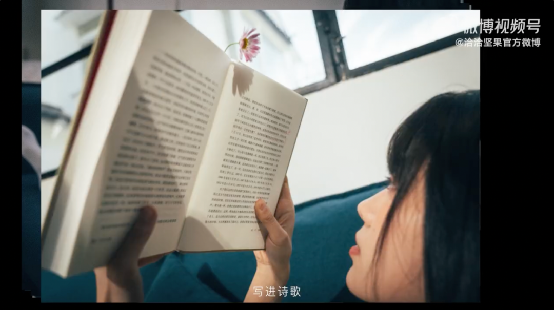 洽洽小黄袋0碳坚果再攀环保营销新高度,只为赖一个更久的春天