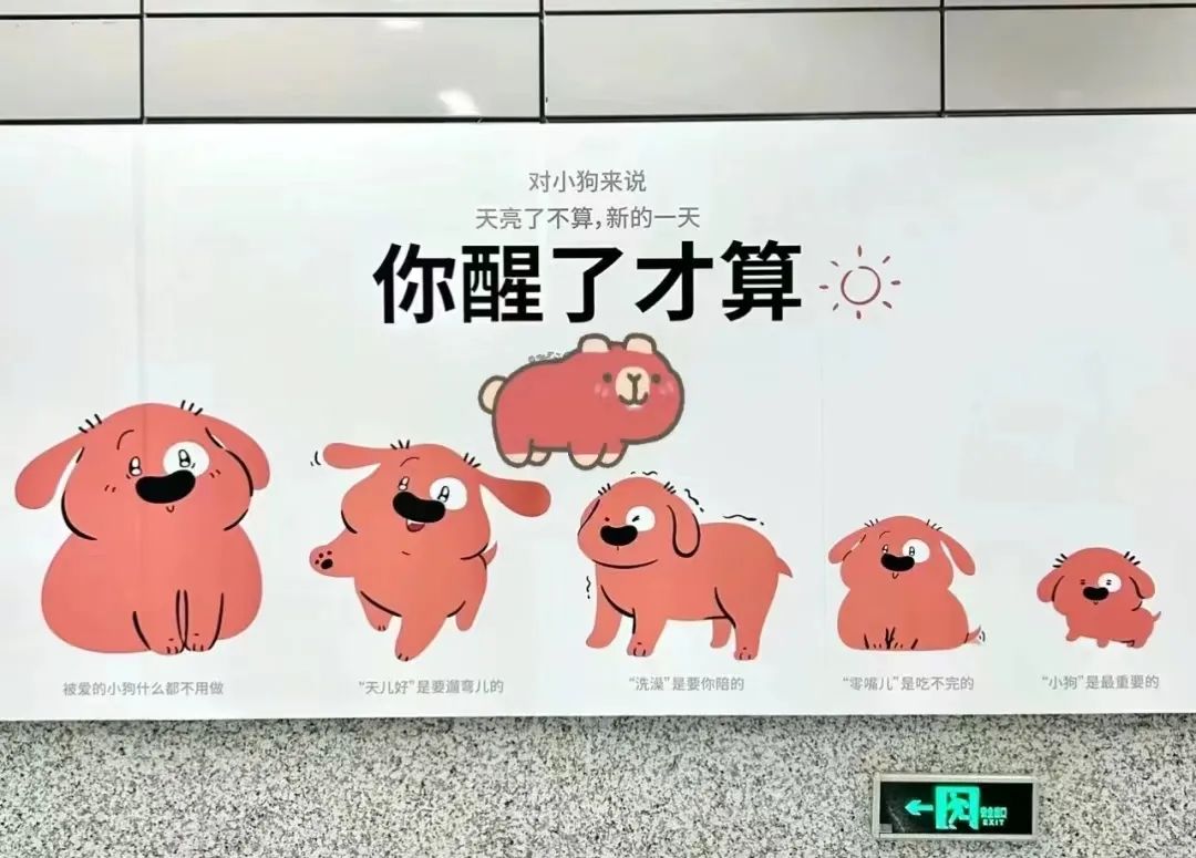 看哭全网的小狗广告翻车?反转来得太突然!