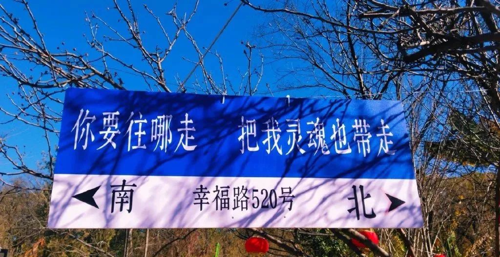 网红路牌文案,被网友们“玩坏”了