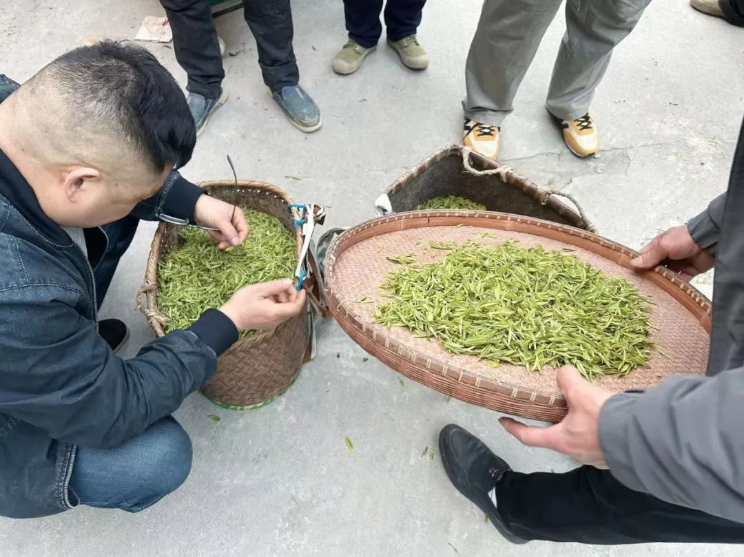 普通人不要去卖茶,注定赚不到钱。