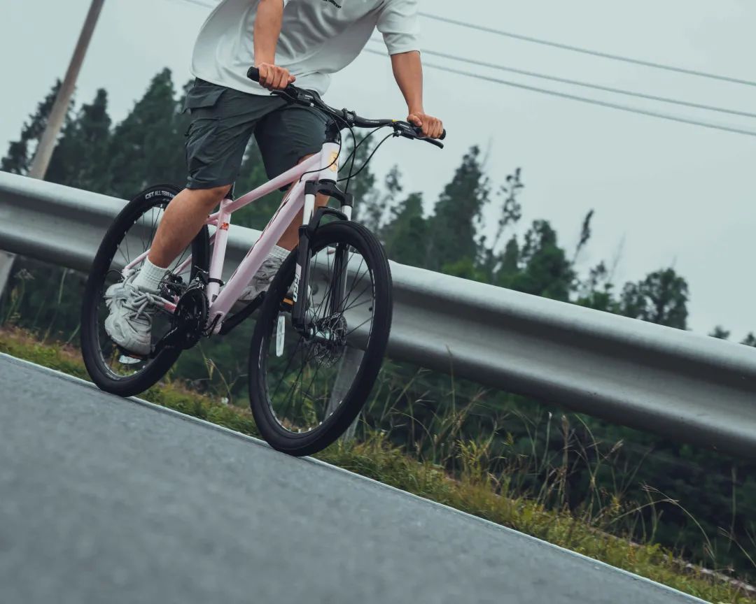 年产超过1000万辆，百年凤凰，盯上年轻人捧红的&ldquo;Cityride&rdquo;