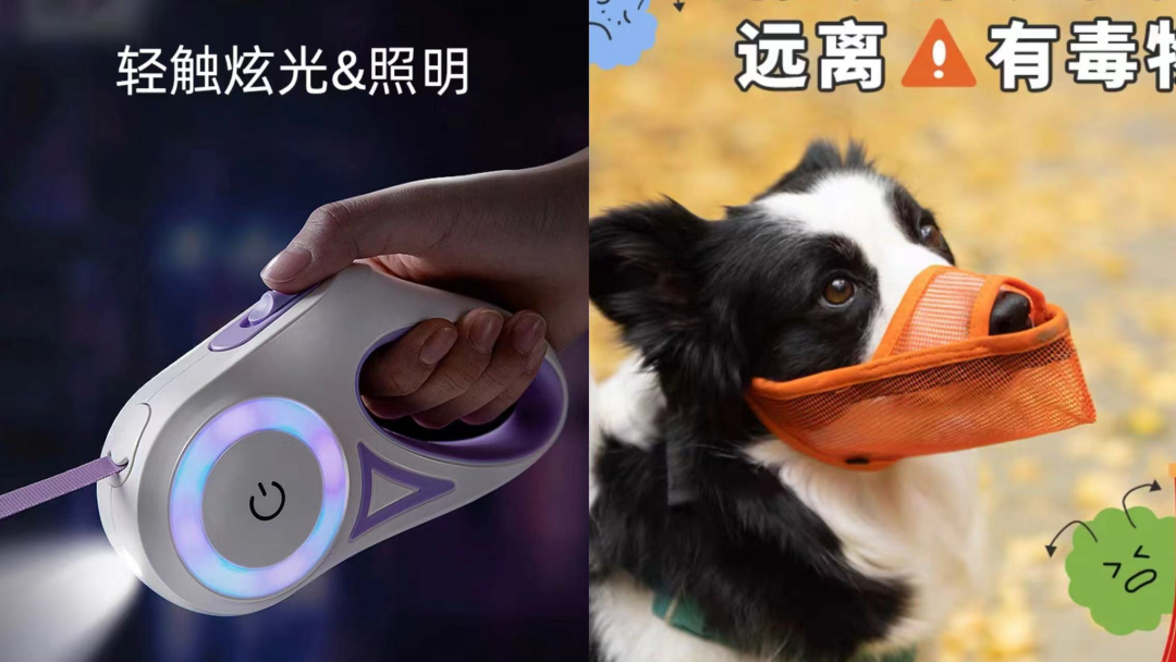 宠物年夜饭与春联卖爆:“它消费”深度卷向拟人化