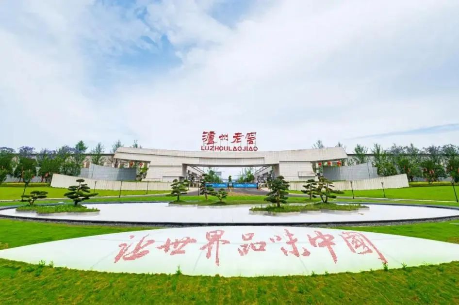 泸州老窖,持续高质量增长的底气何在?