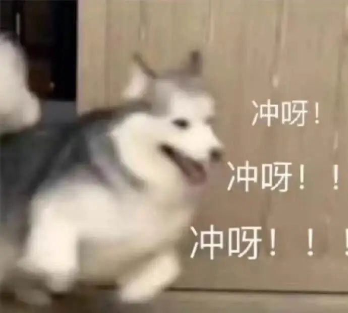 靠直播逆转口碑？张大大算是把&ldquo;人设营销&rdquo;玩明白了