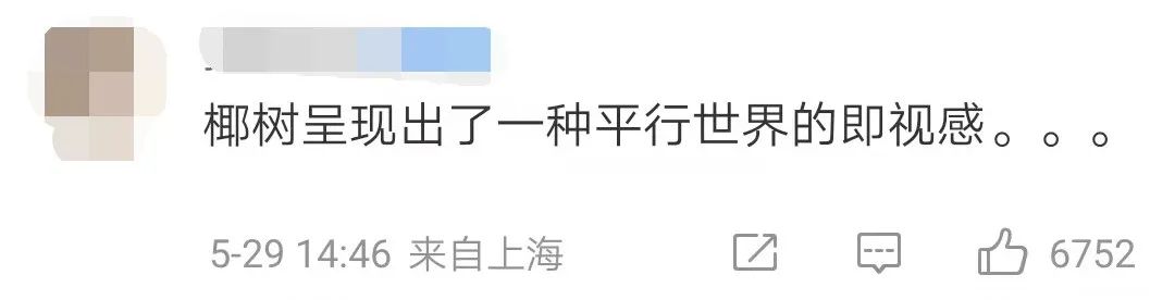 男模背心火出圈,椰树“擦边”到了淘宝