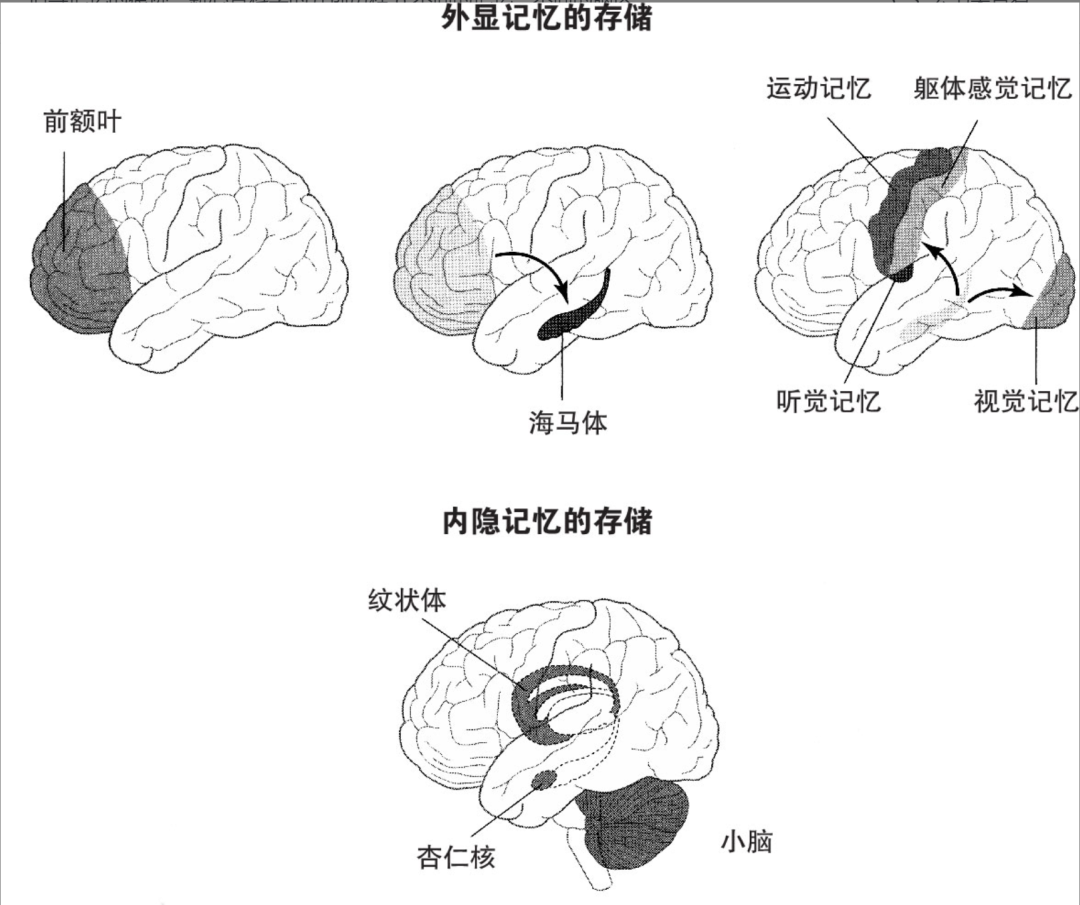 深度学习的4个底层逻辑