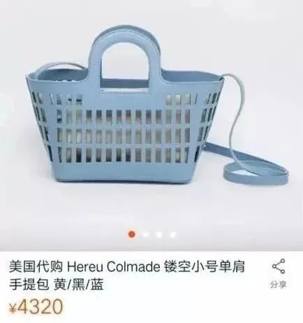 加拿大鹅有东北那味儿了,我当场笑出鹅叫!