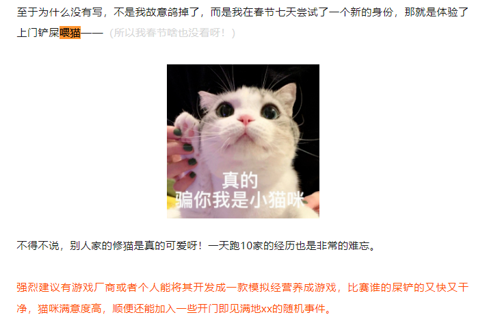 《猫咪后院》出续作啦!还记得这些可爱的哈基米吗?