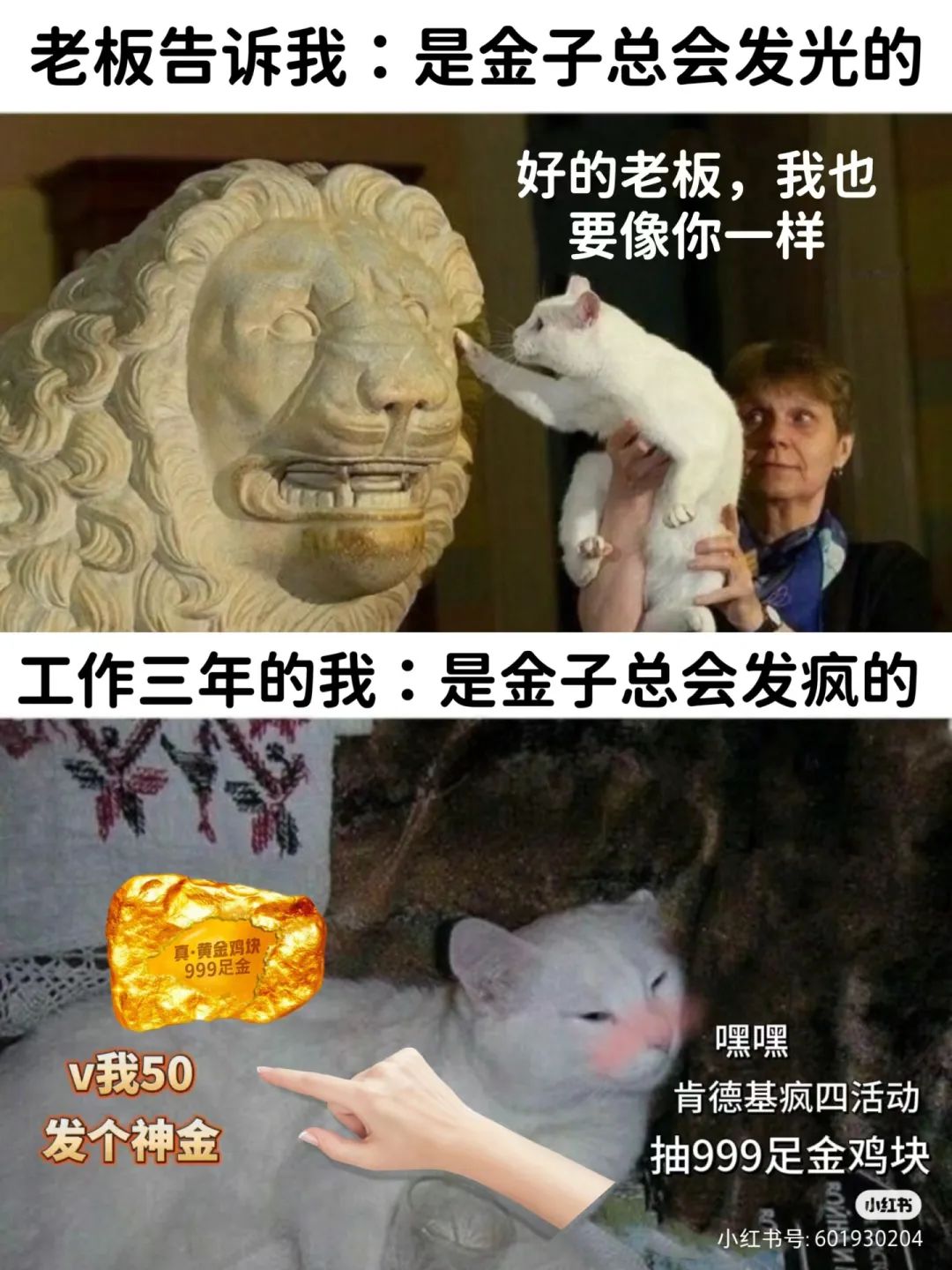 肯德基“史上最贵”联名出现了,爱马仕:哈哈哈神金啊!