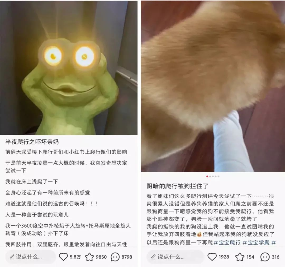 靠&ldquo;爬行&rdquo;在小红书获赞数万，这届年轻人发起疯来也太迷惑了&hellip;&hellip;