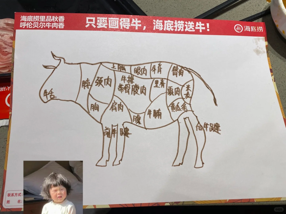 海底捞“画牛送牛”活动,炸出一堆民间高手