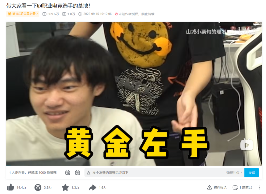 连续12个月登顶B站官方榜,老牌MCN如何成为“百大UP主”孵化机