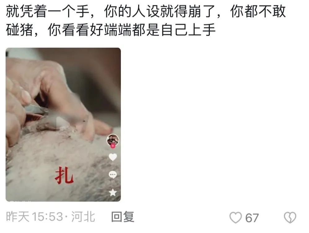 单月涨粉228万,为何大家都爱看美少女优雅养猪?