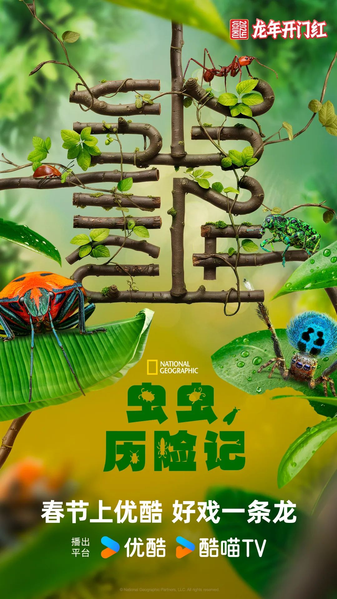 优酷龙年主标识背后的文化意象：CNY品牌营销激发内容势能
