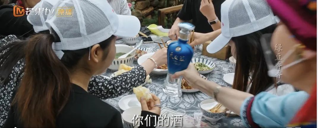 Q1剧综品牌投放观察:药企异军突起,衍生综艺打开局面