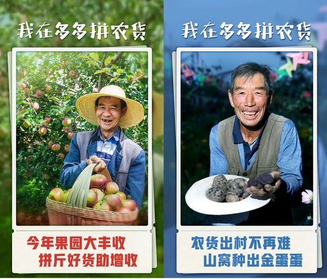 拼多多读懂“农心”:要增销,也要增收