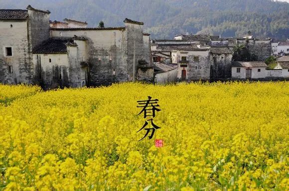 节气营销,90%都在浪费甲方的钱!
