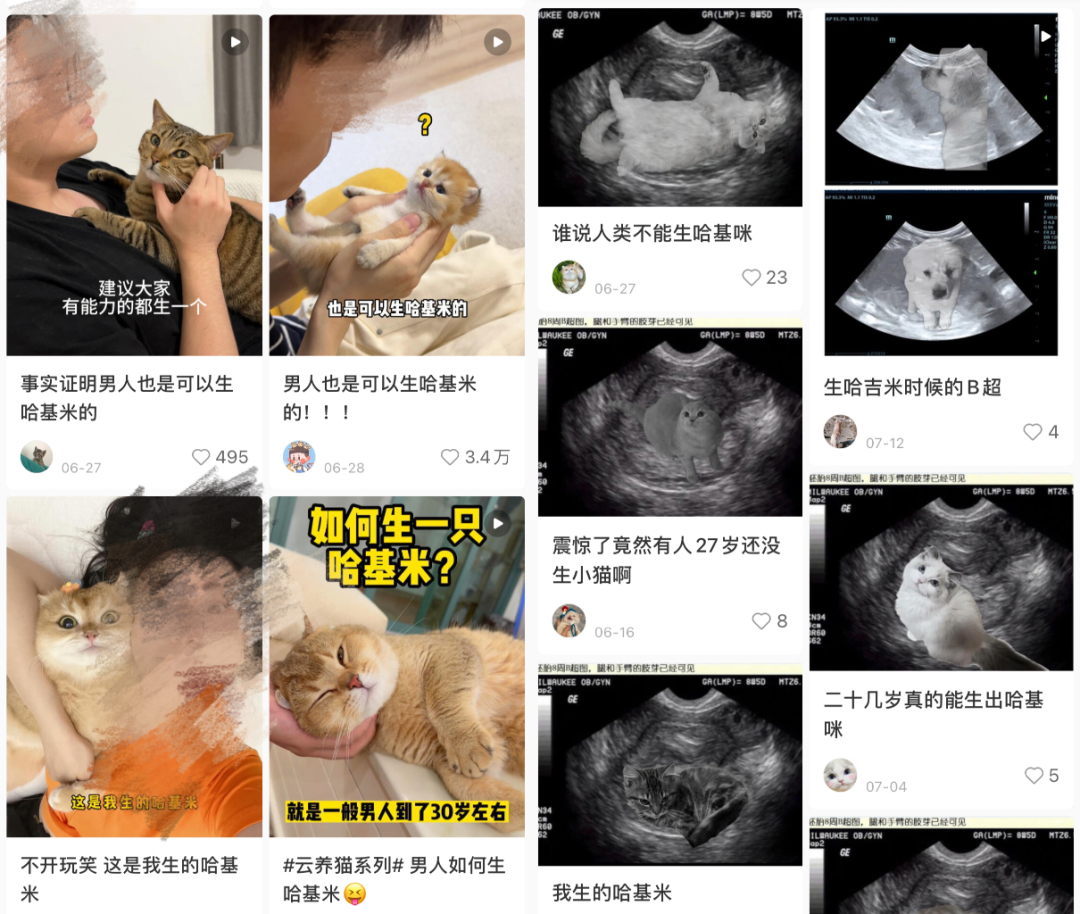 年轻人流行生“哈基米”?宠物经济野蛮生长时