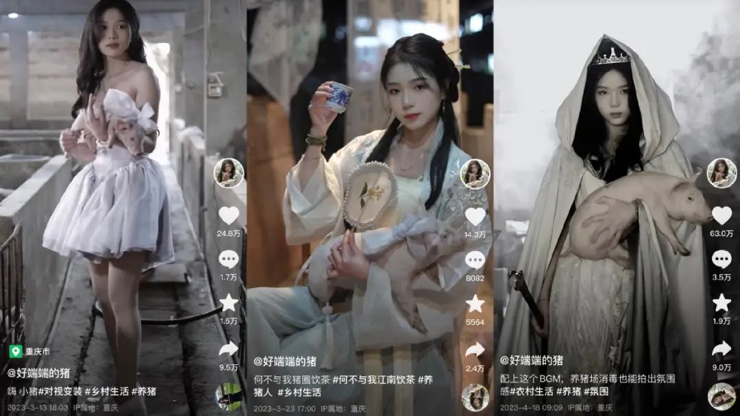 单月涨粉228万,为何大家都爱看美少女优雅养猪?