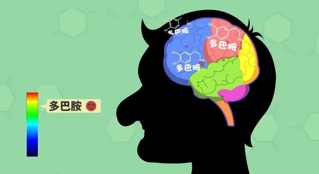 互联网年味儿:你五福了吗? 互联网年味儿:你五福了吗?