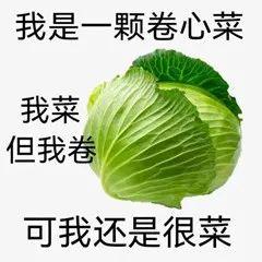 数据分析师春节跳槽指南