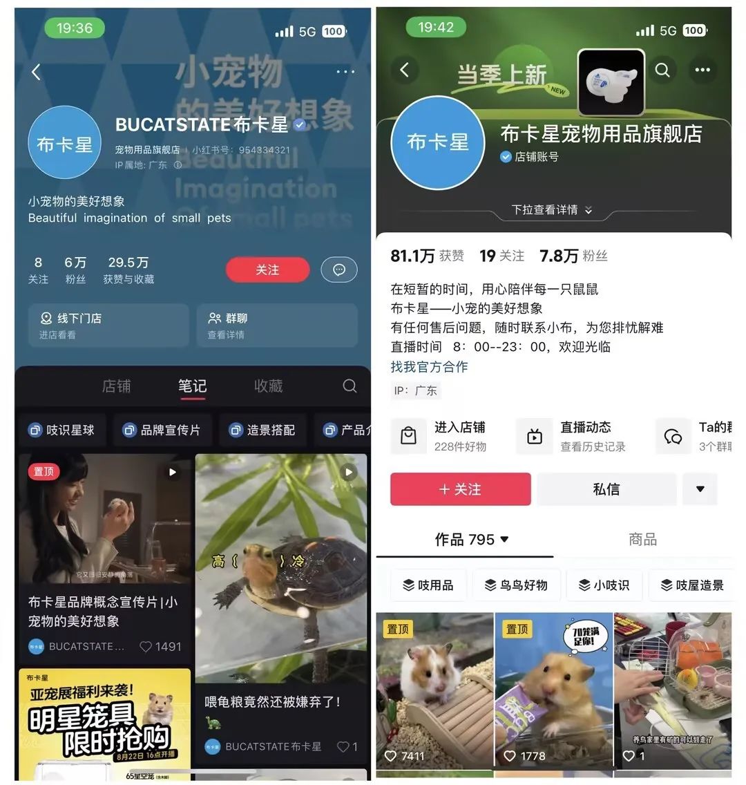 宠物界“泡泡玛特”,爆卖800万件+、复购率60%,凭啥?