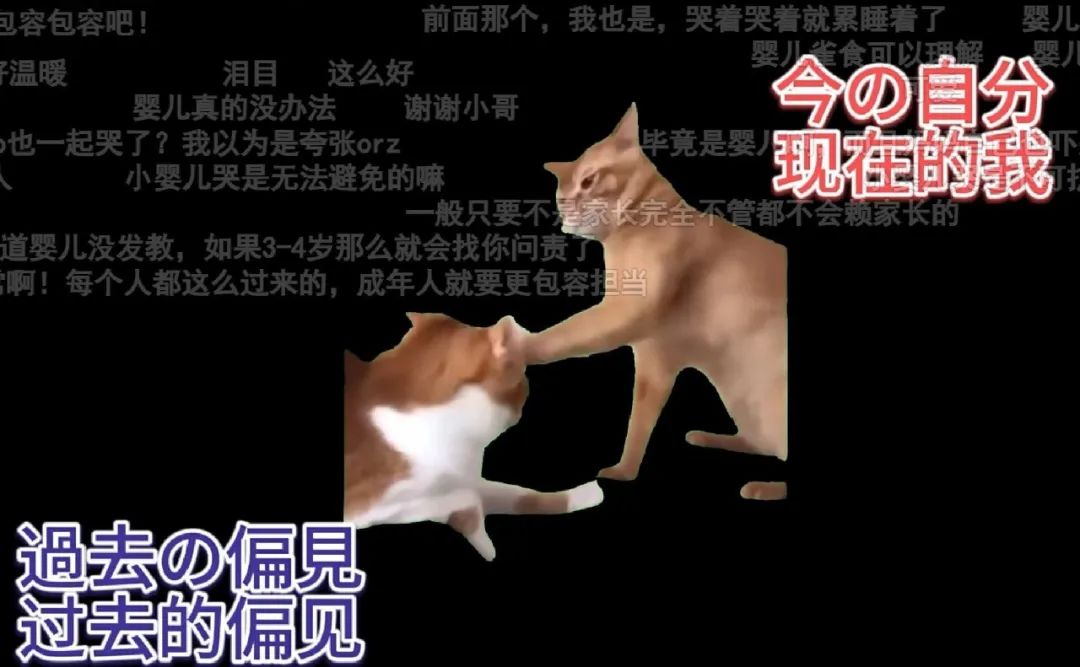 7天B站涨粉20万，&ldquo;猫meme&rdquo;为何风靡全网？