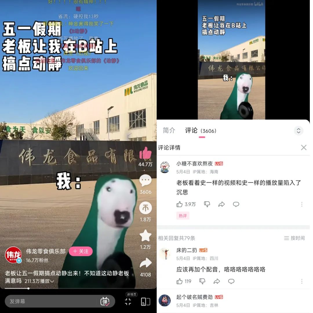 在小红书2天涨粉2万，&ldquo;猫meme&rdquo;成流量密码？