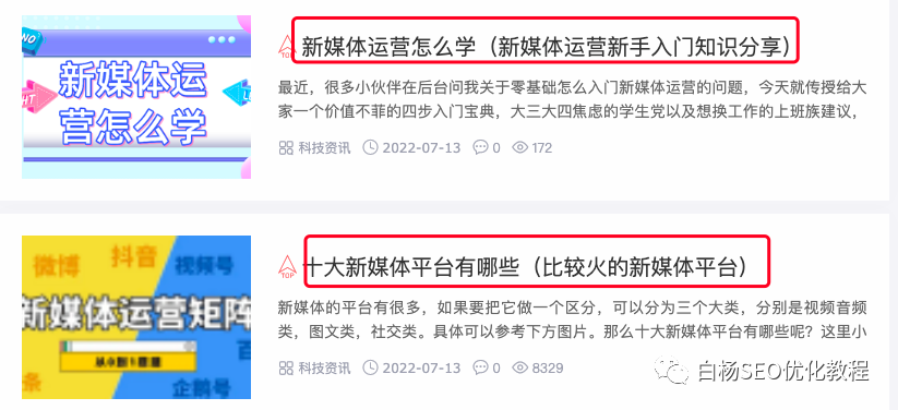 白杨SEO：2023年第一篇，百度流量都闭环了，SEO还能怎么搞？