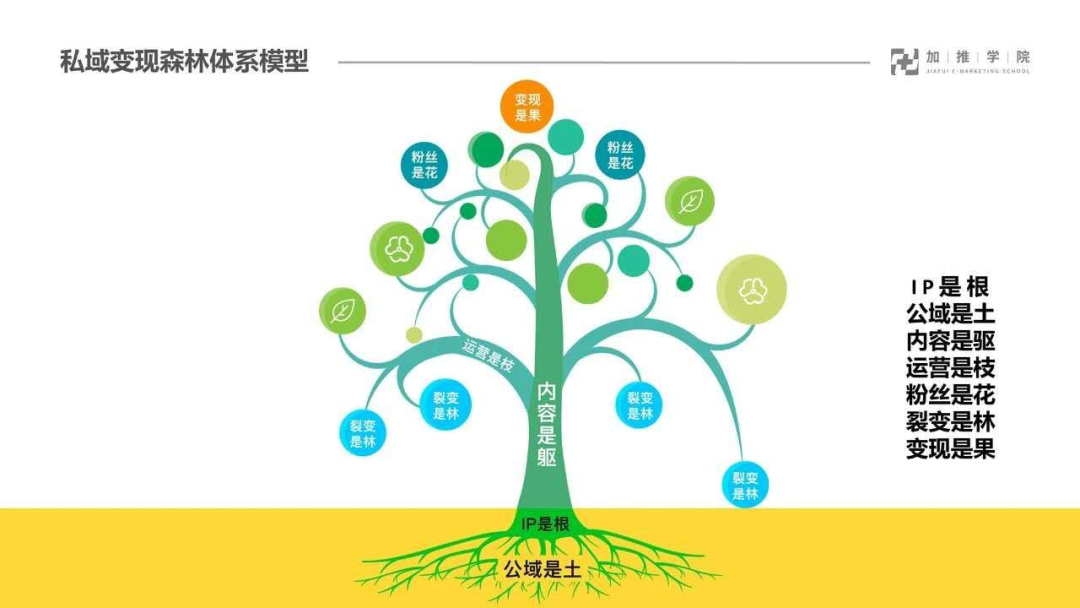 揭秘私域变现森林体系,7大系统34个模块,重新理解私域这件事 揭秘私域变现森林体系,7大系统34个模块,重新理解私域这件事
