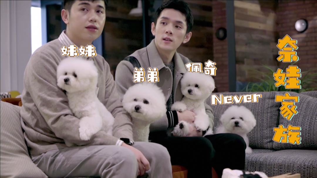 “N姓女明星”,李佳琦的一员大将,“单飞”投入抖音怀抱