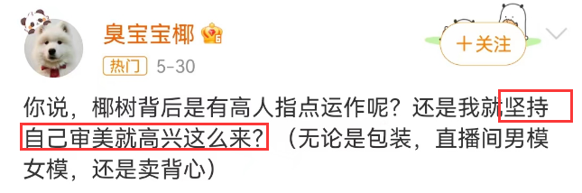 擦!椰树终于承认了?!