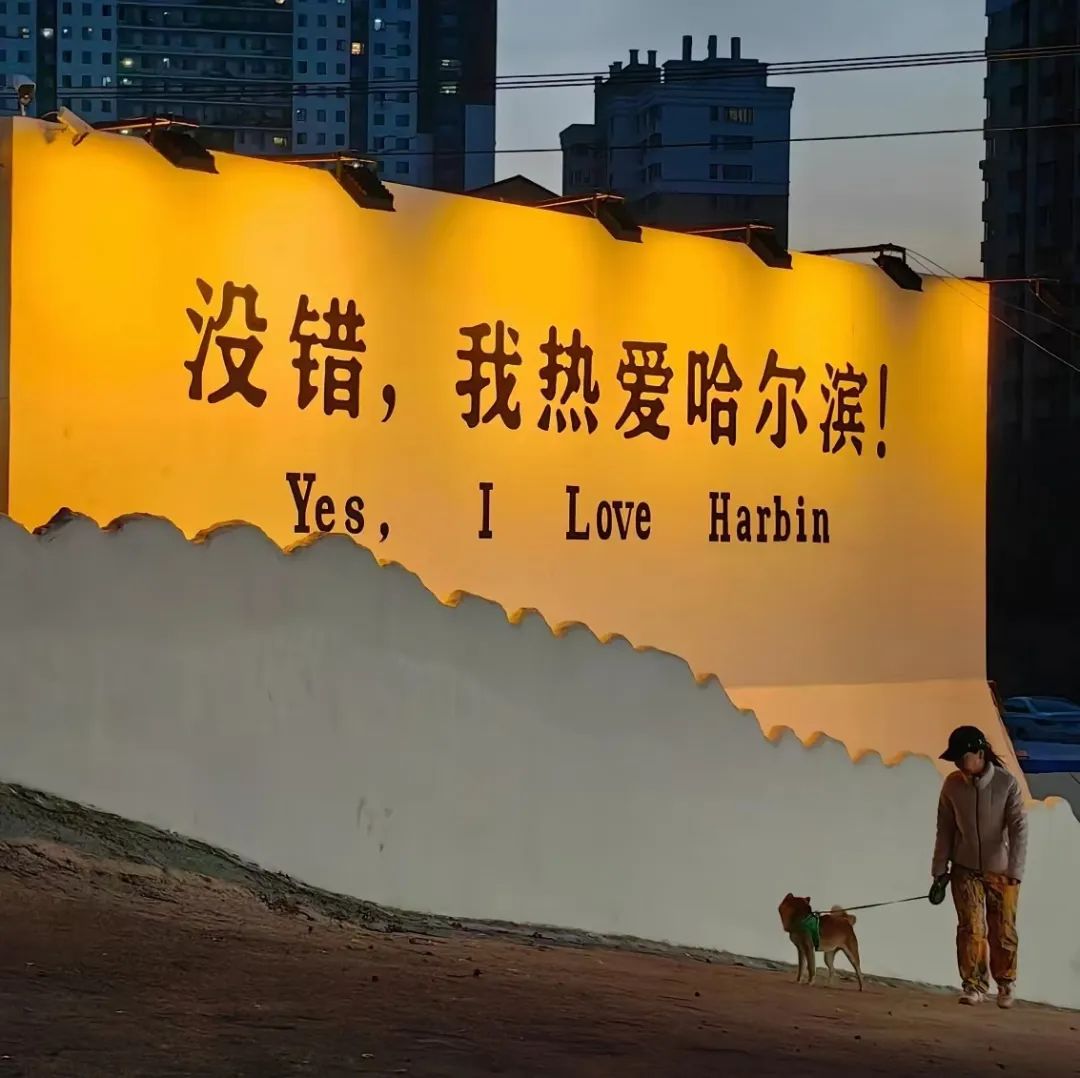 重南轻北?网友:尔滨你又整这死出
