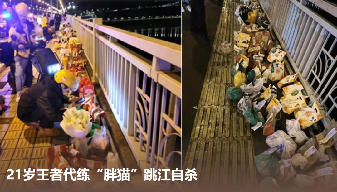 2024十大品牌公关营销案例!精选国内外30创意,每一个都“硬控”