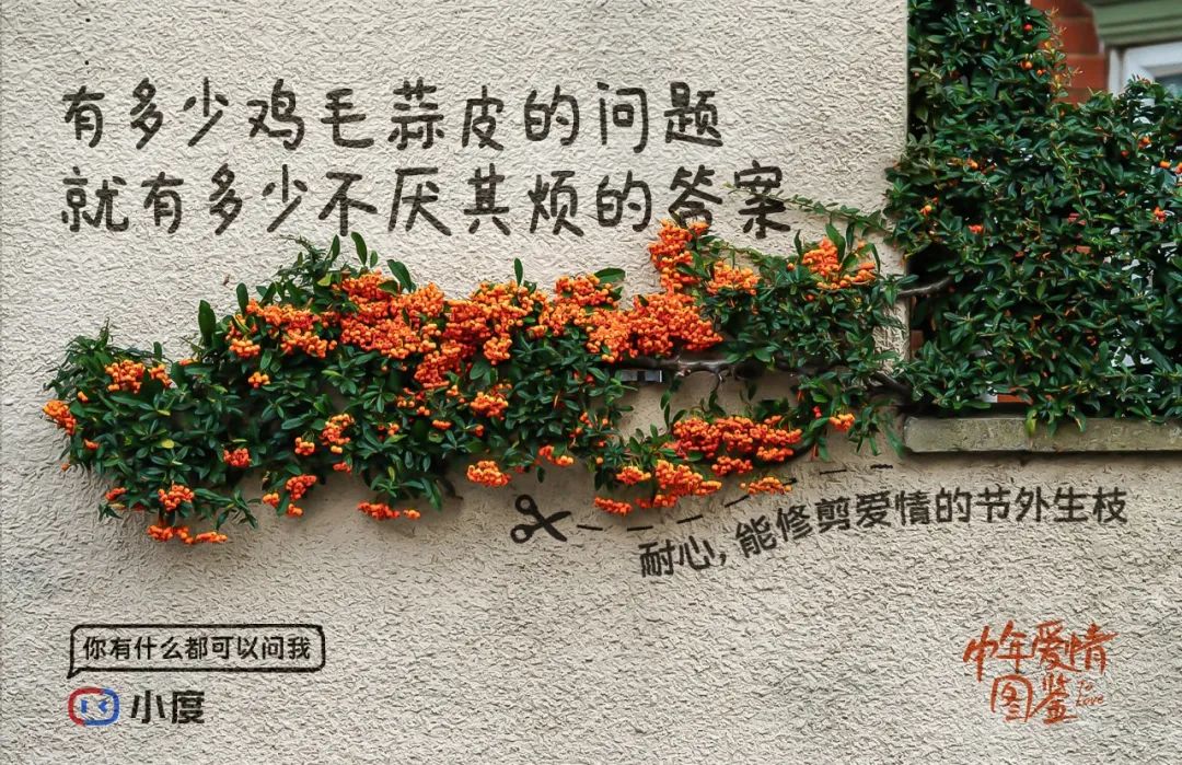 中年爱情的文案，很上头~