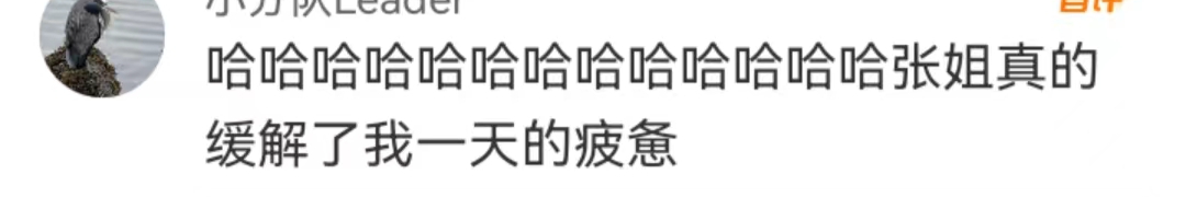 大小S被锤爆,谁是真正赢家