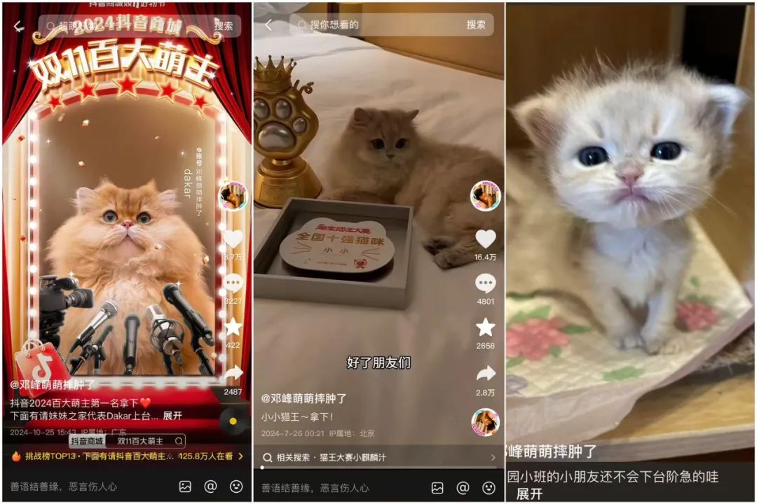 咆哮式训狗吸粉1250万,宠物赛道变天了?