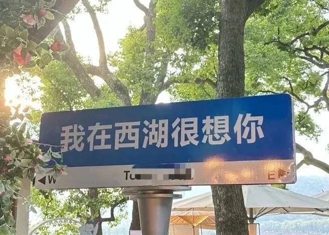 网红路牌文案,被网友们“玩坏”了