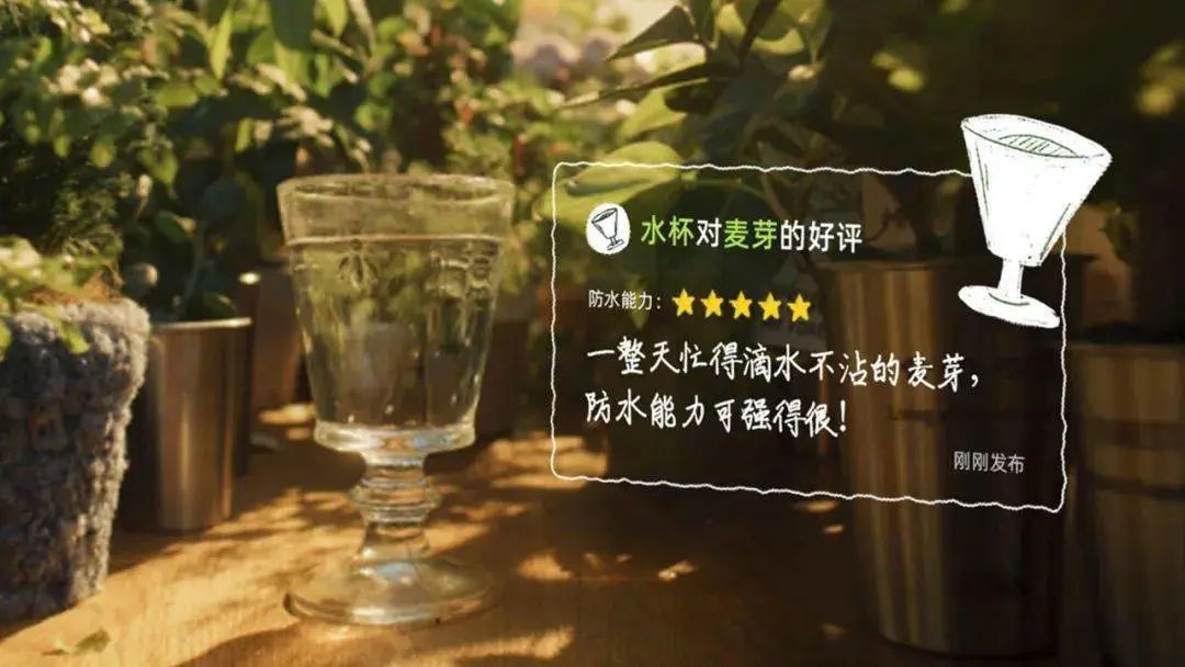 淘宝《特殊的好评》，被卖家这些举动暖到了