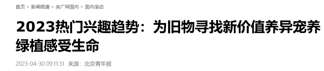 异宠，一场年轻人的单向奔赴