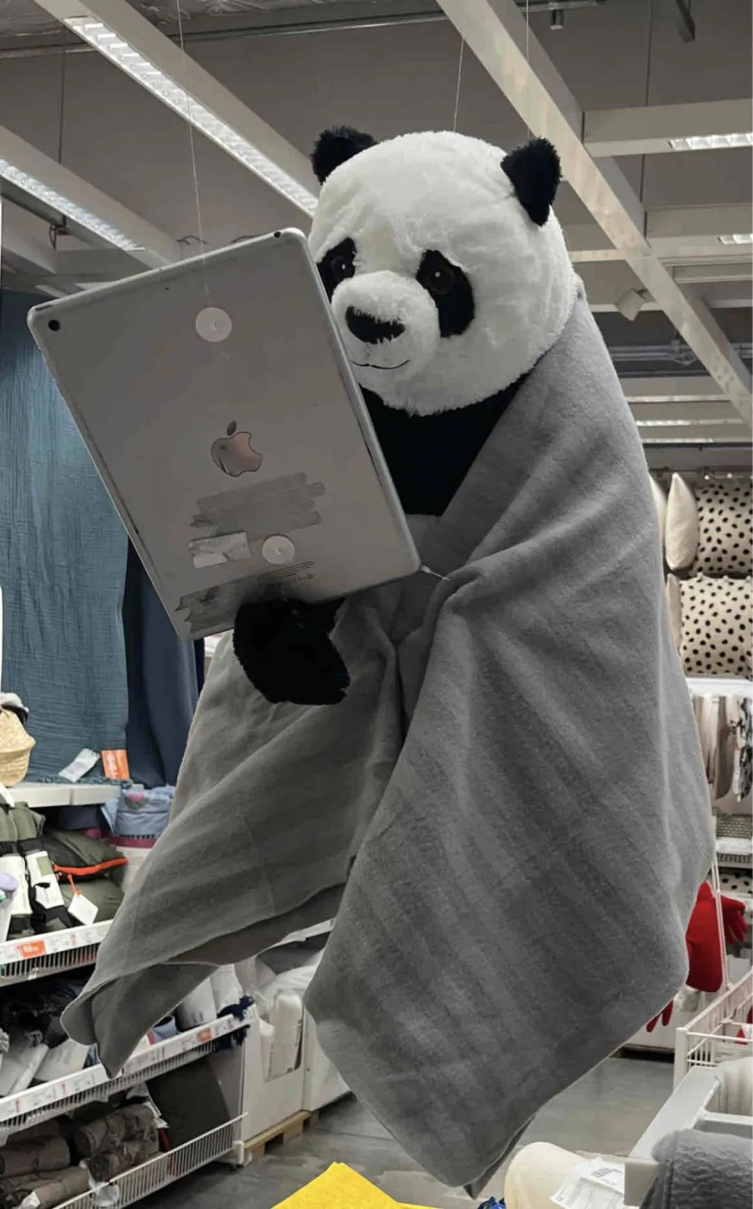 宜家盛产的“丑东西”,随机尬死一个路人