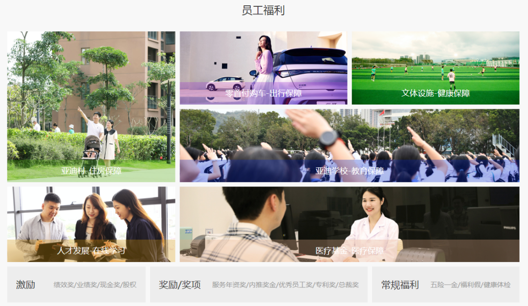 比亚迪的人力资源管理体系!