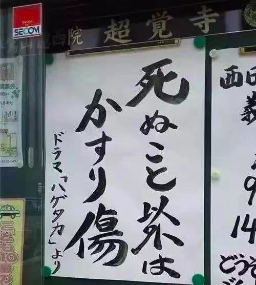 12句话疗文案，极度舒适~