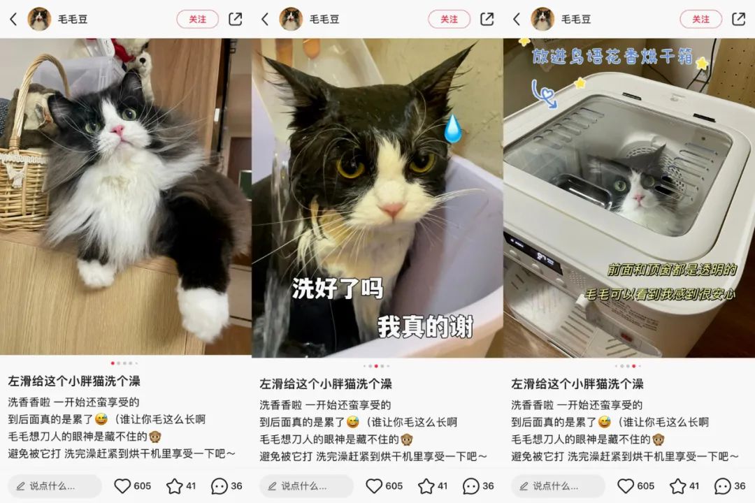 6000万GMV，数百万投给了小红书：新品牌如何布局新流量平台？