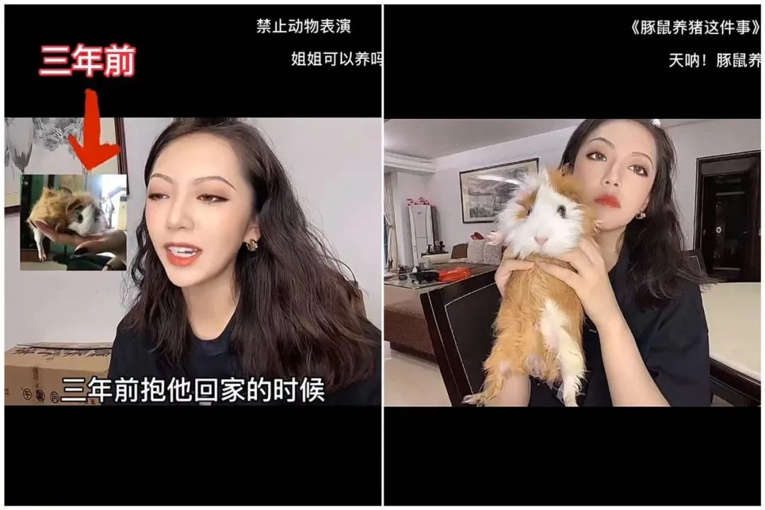 4000万粉丝IP，倒在了2024年春天