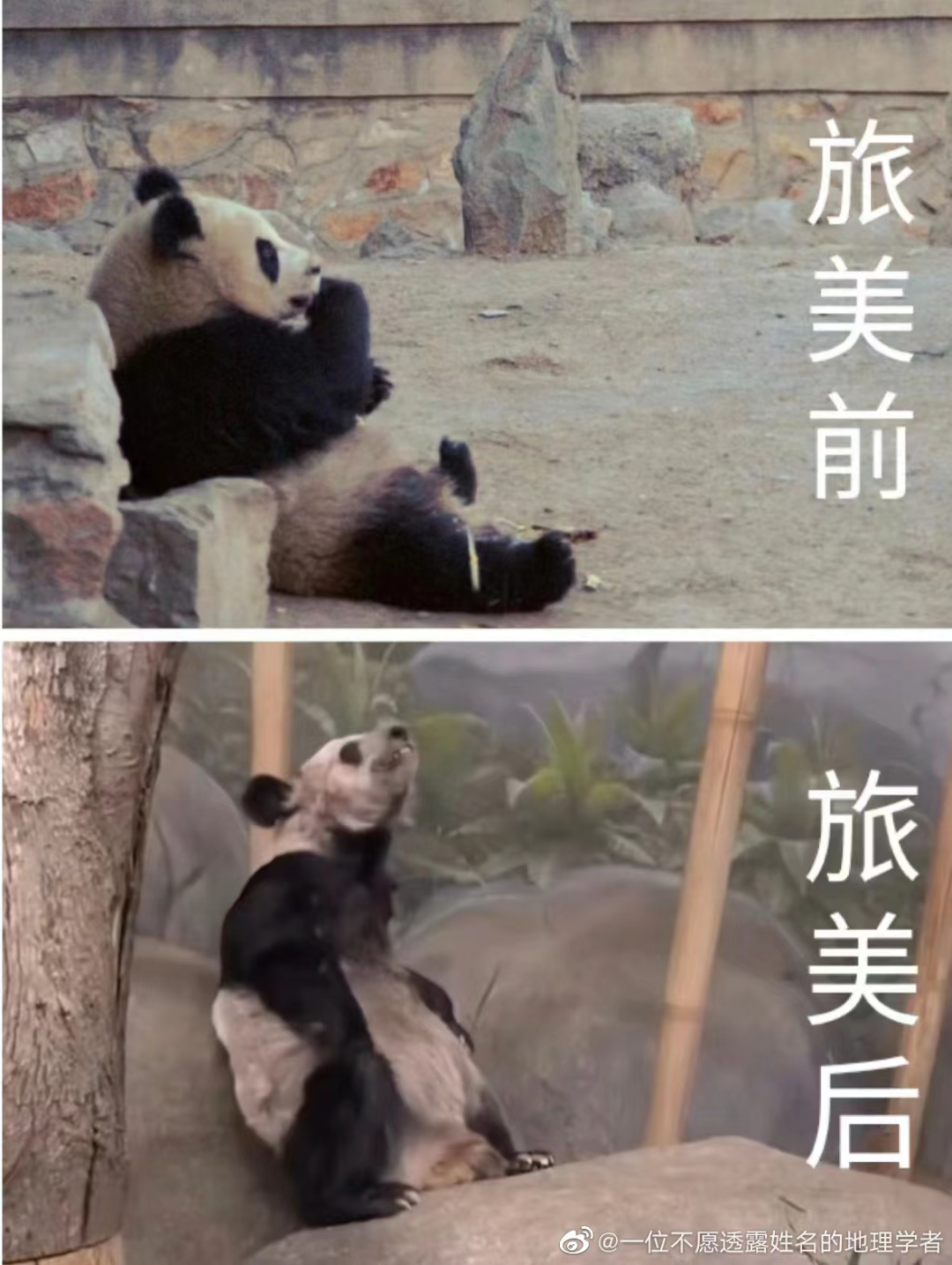 全网心疼的&ldquo;丫丫&rdquo;，遭国货疯抢？