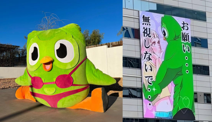 从“猫meme”到“绿色鸟子”,真正的“万物皆可IP”? | 雷报