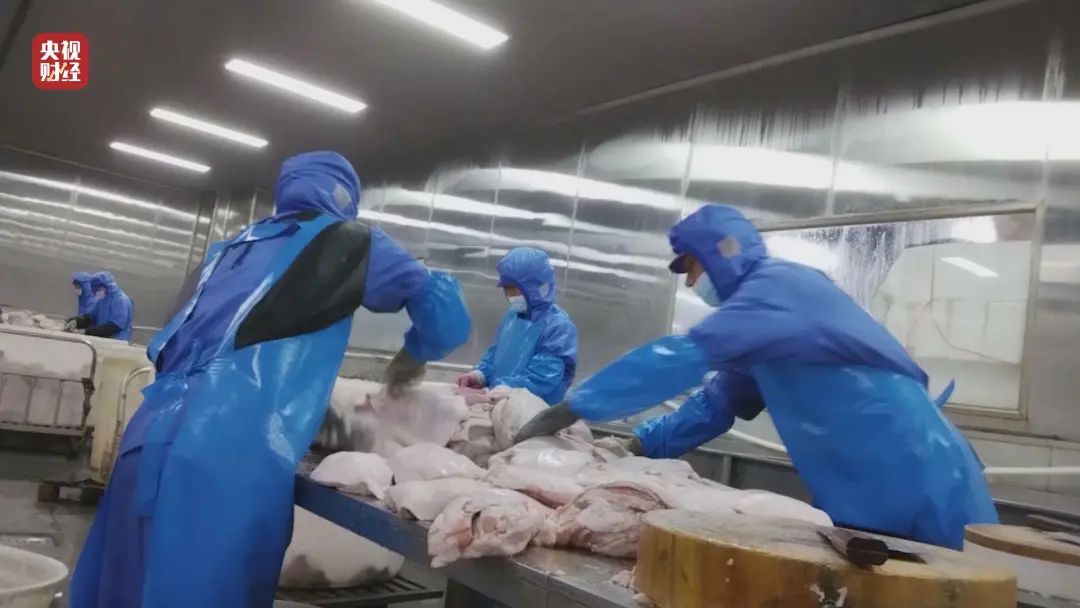 央视“3·15”曝光!预制菜原料竟是3元一斤的槽头肉
